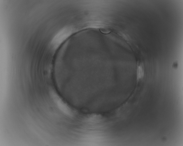 X0000113940243200910161922