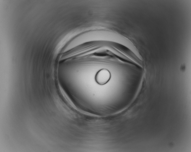 X0000113940244200910161922