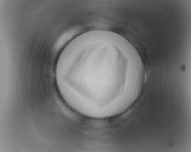 X0000113940245200910161922