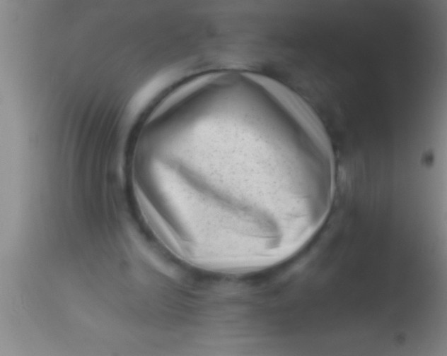 X0000113940246200910161922