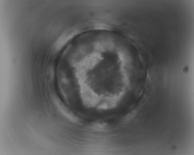 X0000113940247200910161922