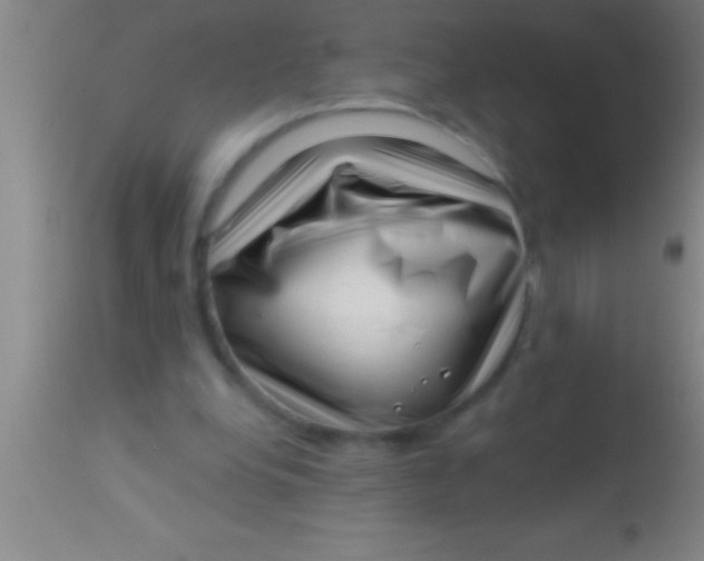 X0000113940248200910161922