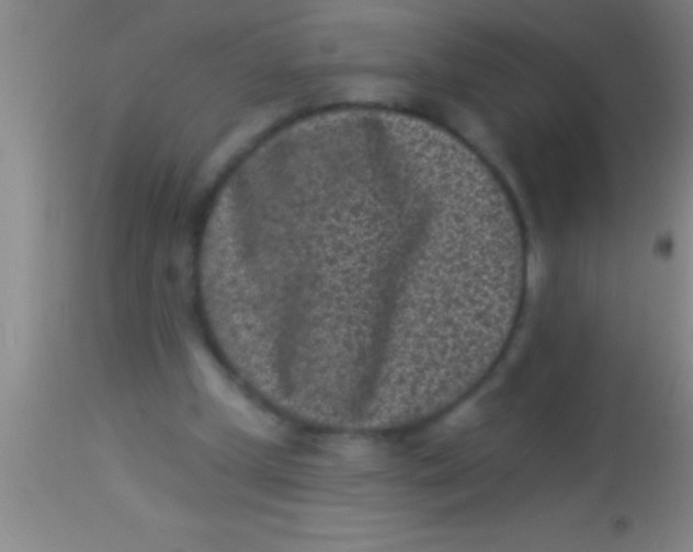 X0000113940249200910161922