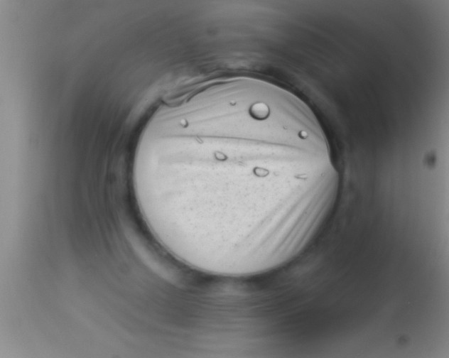 X0000113940250200910161922