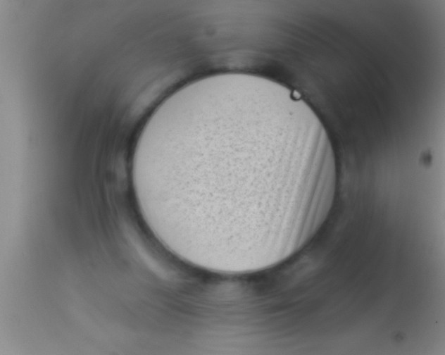 X0000113940251200910161922