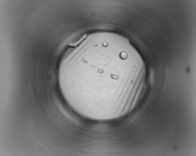 X0000113940252200910161922