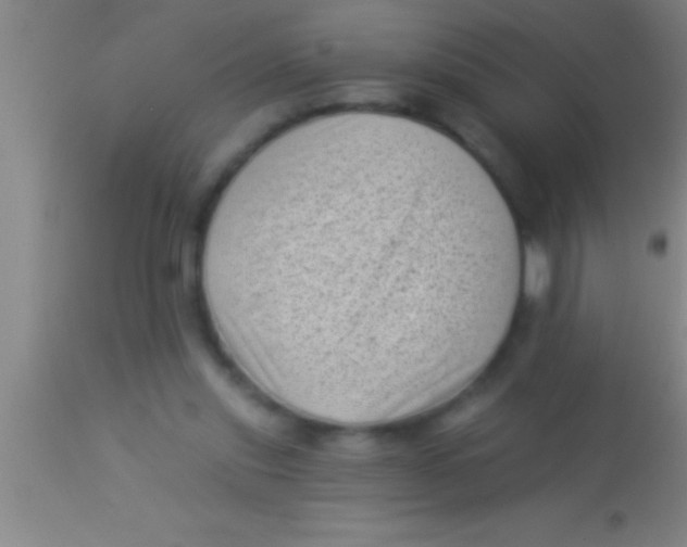 X0000113940253200910161922