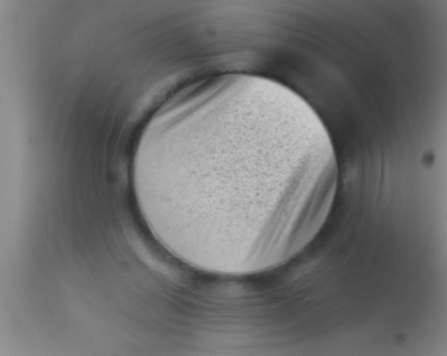 X0000113940254200910161922