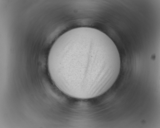 X0000113940255200910161922