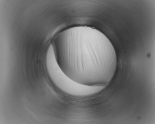 X0000113940256200910161922