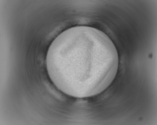 X0000113940257200910161922