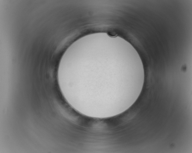 X0000113940258200910161922
