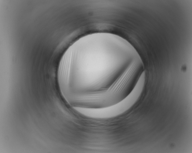 X0000113940260200910161922
