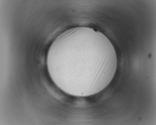 X0000113940262200910161922