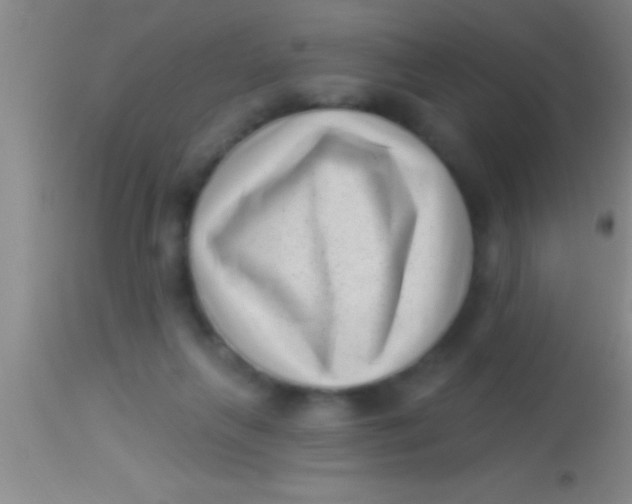 X0000113940263200910161922