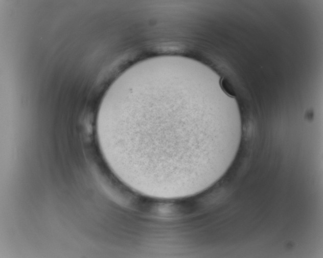 X0000113940264200910161922