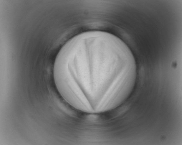 X0000113940265200910161922