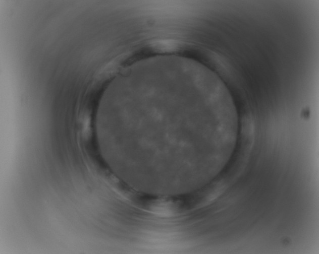X0000113940267200910161922