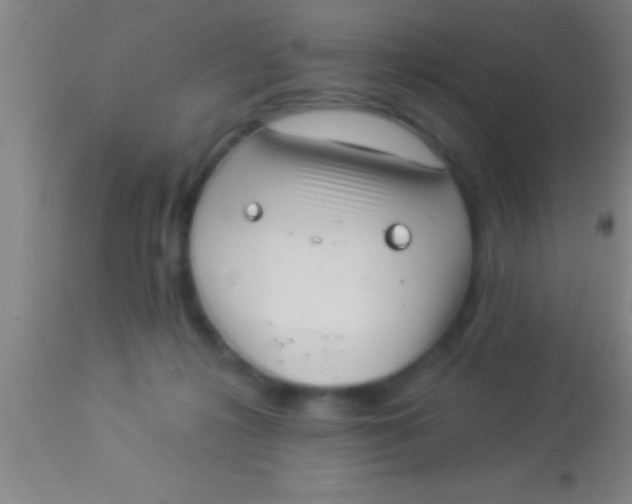 X0000113940268200910161922