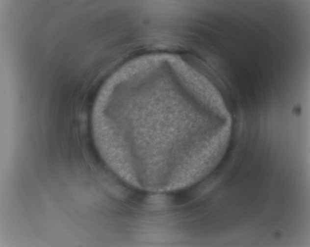 X0000113940269200910161922