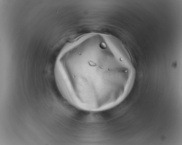 X0000113940270200910161922