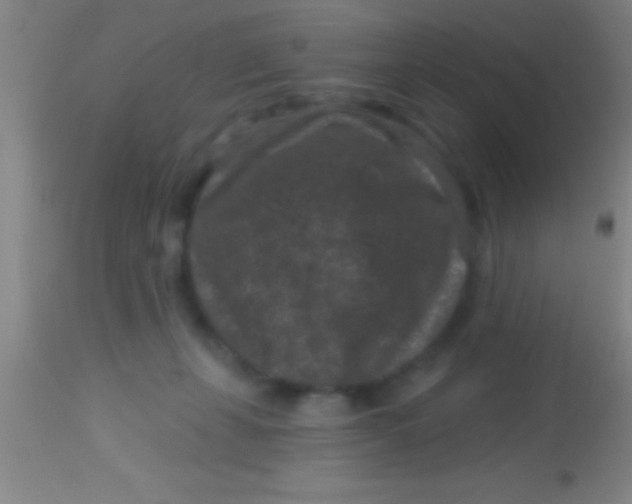 X0000113940271200910161922