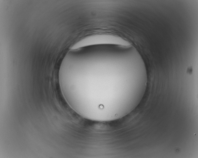 X0000113940272200910161922