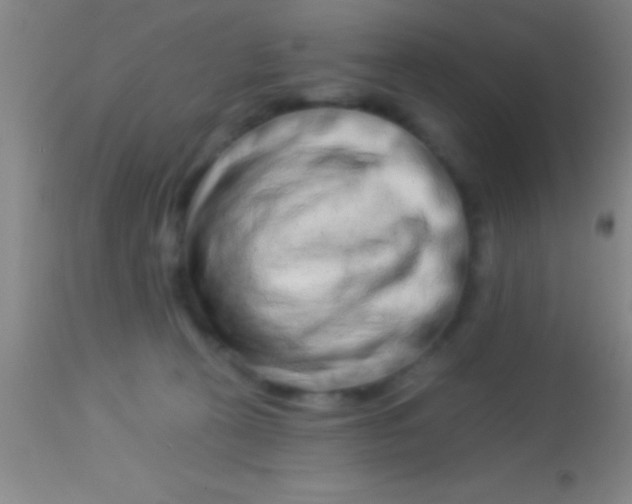 X0000113940273200910161922