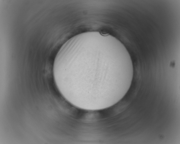 X0000113940274200910161922