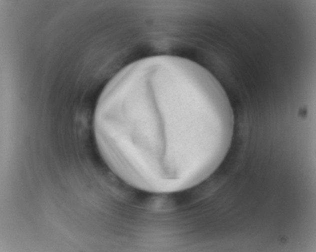 X0000113940275200910161922