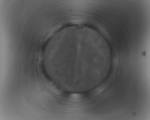 X0000113940277200910161922