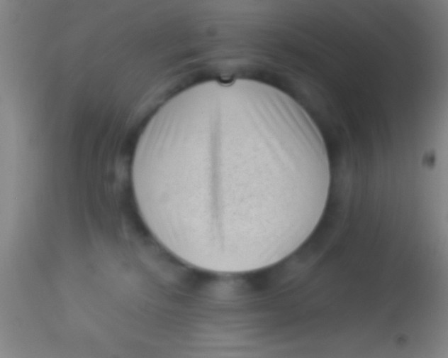 X0000113940278200910161922