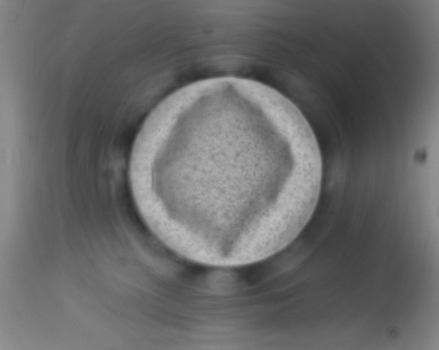 X0000113940279200910161922