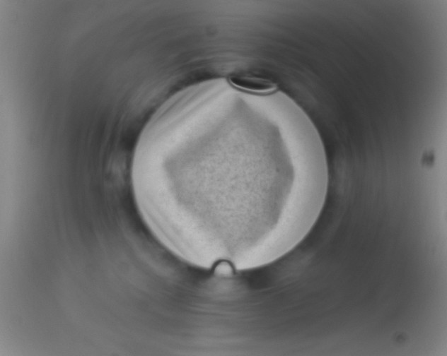 X0000113940280200910161922