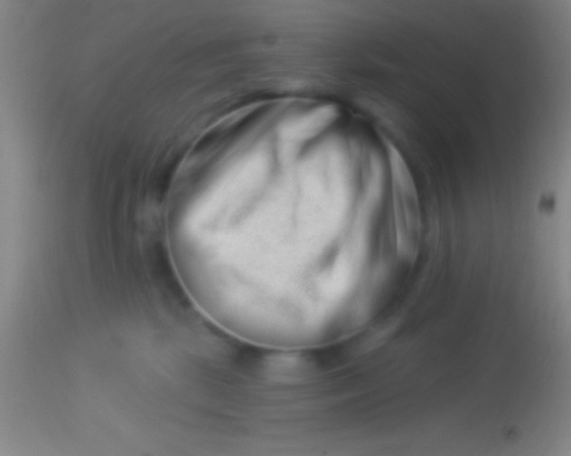 X0000113940281200910161922
