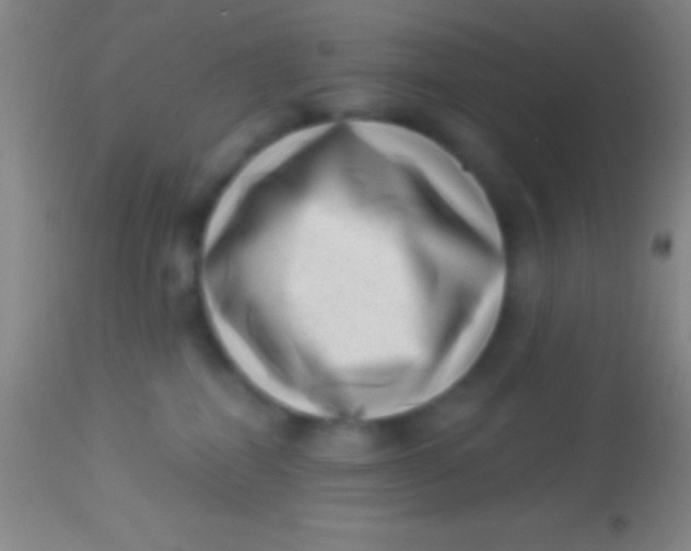 X0000113940282200910161922