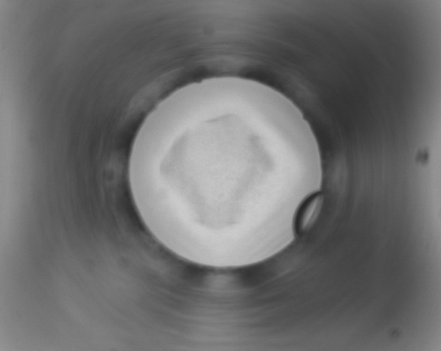 X0000113940283200910161922