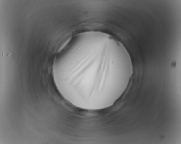 X0000113940284200910161922