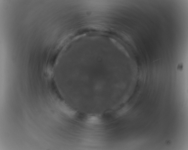 X0000113940285200910161922