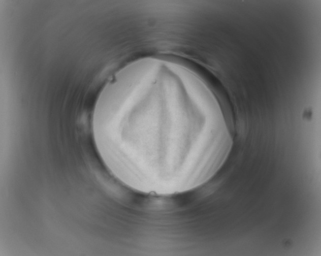 X0000113940286200910161922