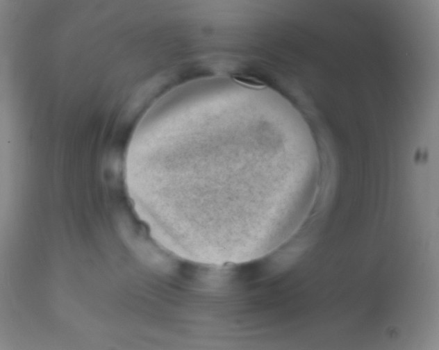X0000113940288200910161922