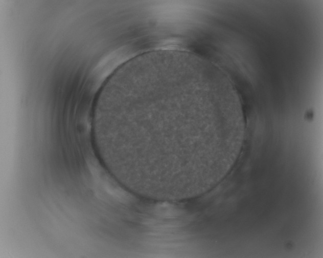X0000113940290200910161921