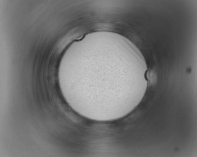 X0000113940291200910161921