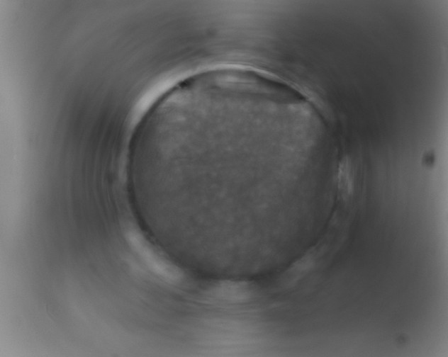 X0000113940292200910161921