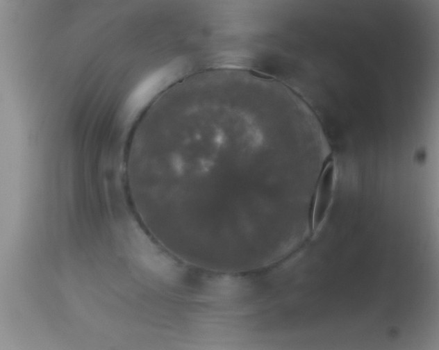 X0000113940293200910161921