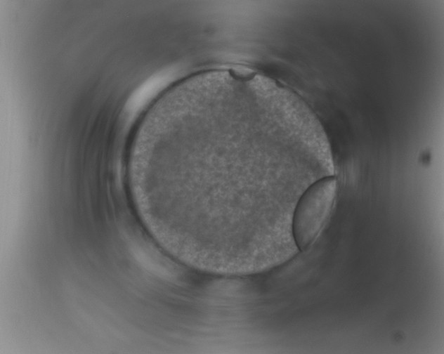 X0000113940294200910161921