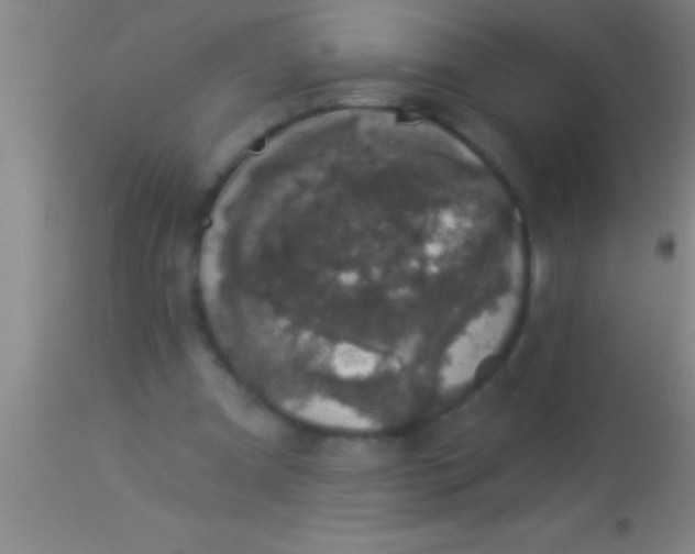 X0000113940297200910161921