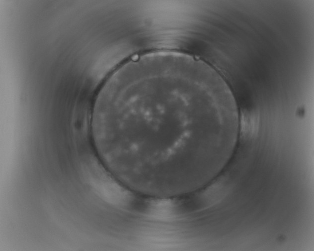X0000113940301200910161921