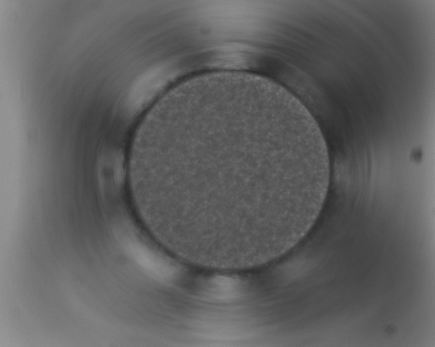 X0000113940302200910161921
