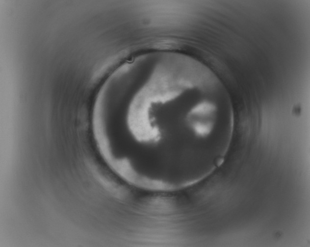 X0000113940303200910161921